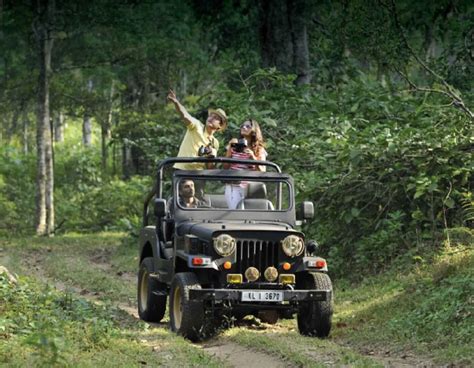 periyar national park jeep safari cost|elephant safari in thekkady.